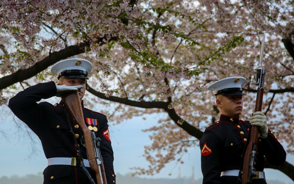 Silent Drill Platoon practices with District's iconic Cherry Blossoms as backdrop