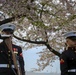 Silent Drill Platoon practices with District's iconic Cherry Blossoms as backdrop