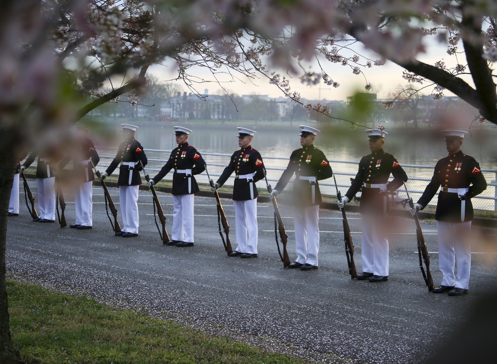 Silent Drill Platoon practices with District's iconic Cherry Blossoms as backdrop