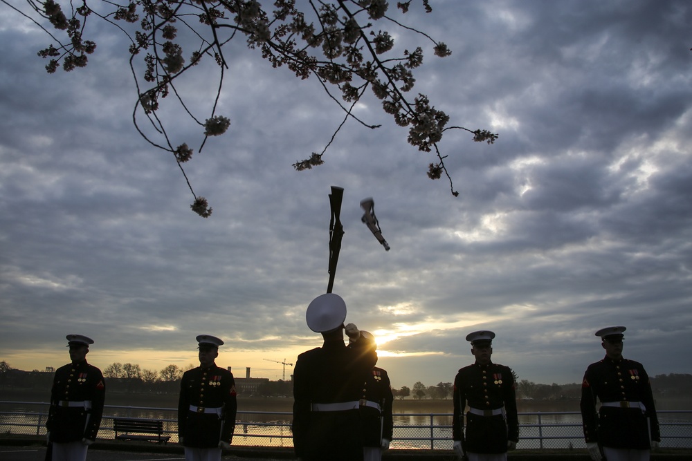 Silent Drill Platoon practices with District's iconic Cherry Blossoms as backdrop