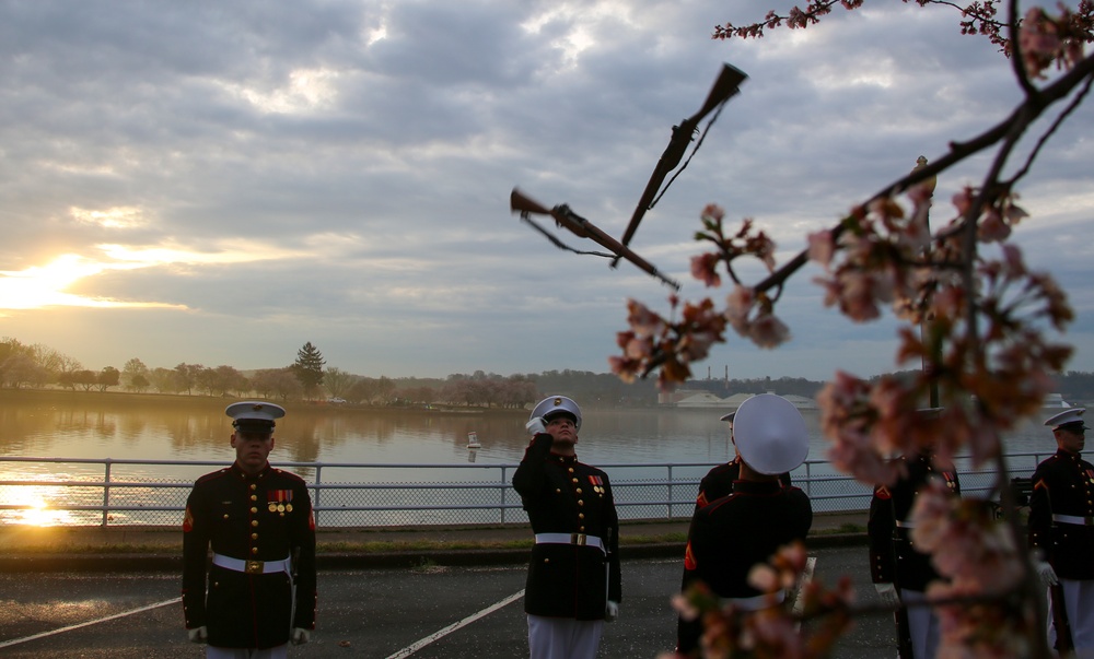 Silent Drill Platoon practices with District's iconic Cherry Blossoms as backdrop