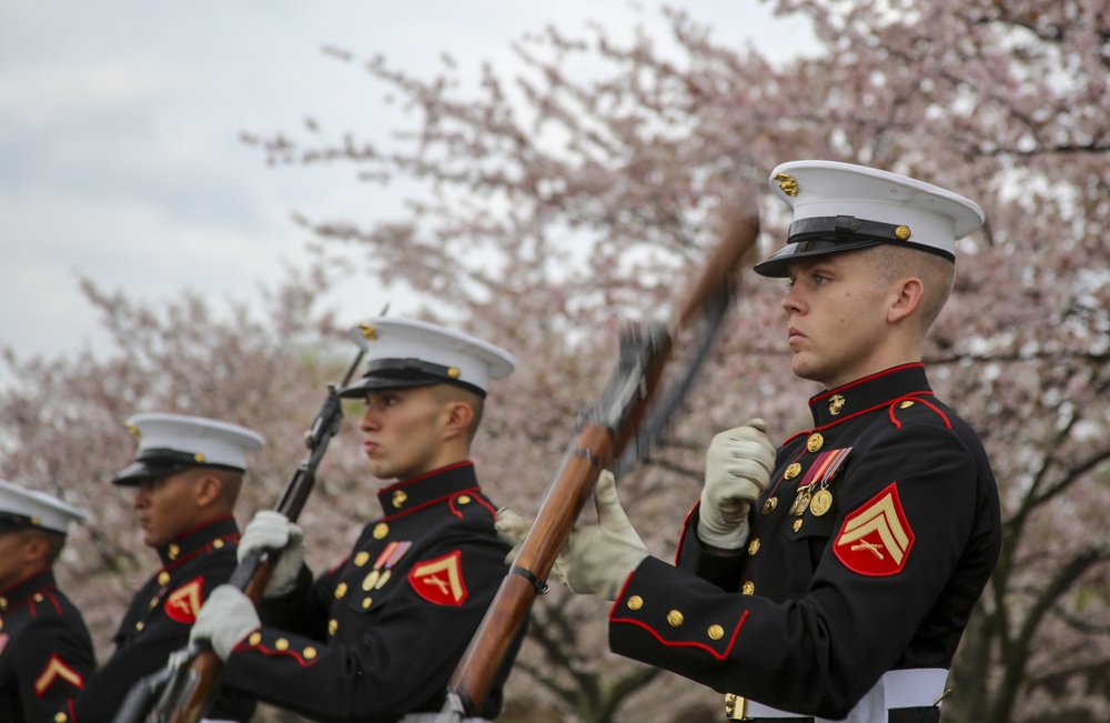 Silent Drill Platoon practices with District's iconic Cherry Blossoms as backdrop