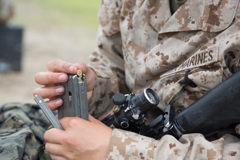 Lima and Papa Companies Table 1