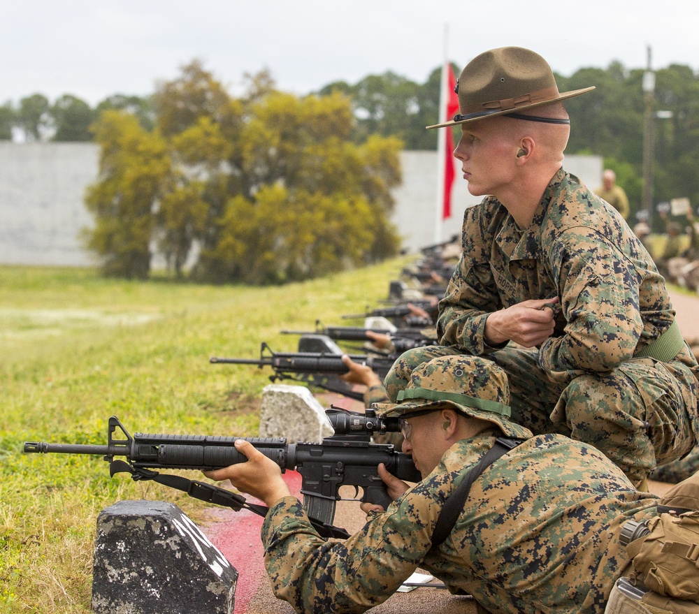 Lima and Papa Companies Table 1