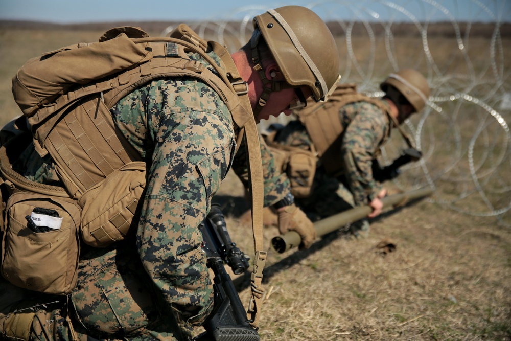 Platinum Eagle 19.1 FINEX