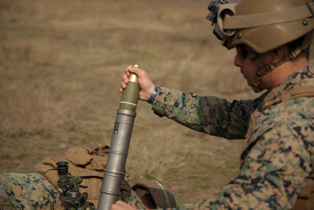 Platinum Eagle 19.1 FINEX