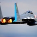 493rd Grim Reapers Heritage F-15C