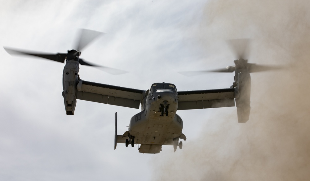 1st Battalion, 2nd Marines embassy reinforcement training