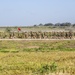 Headquarters and Support Battalion conducts a battalion run