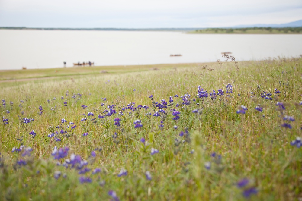 Nature at Black Butte Lake