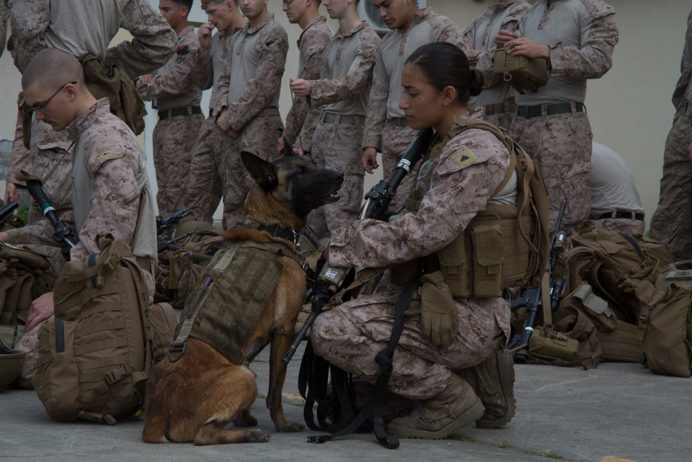 Marines increase readiness with step down training