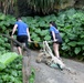 Senaha Beach Cleanup in Okinawa