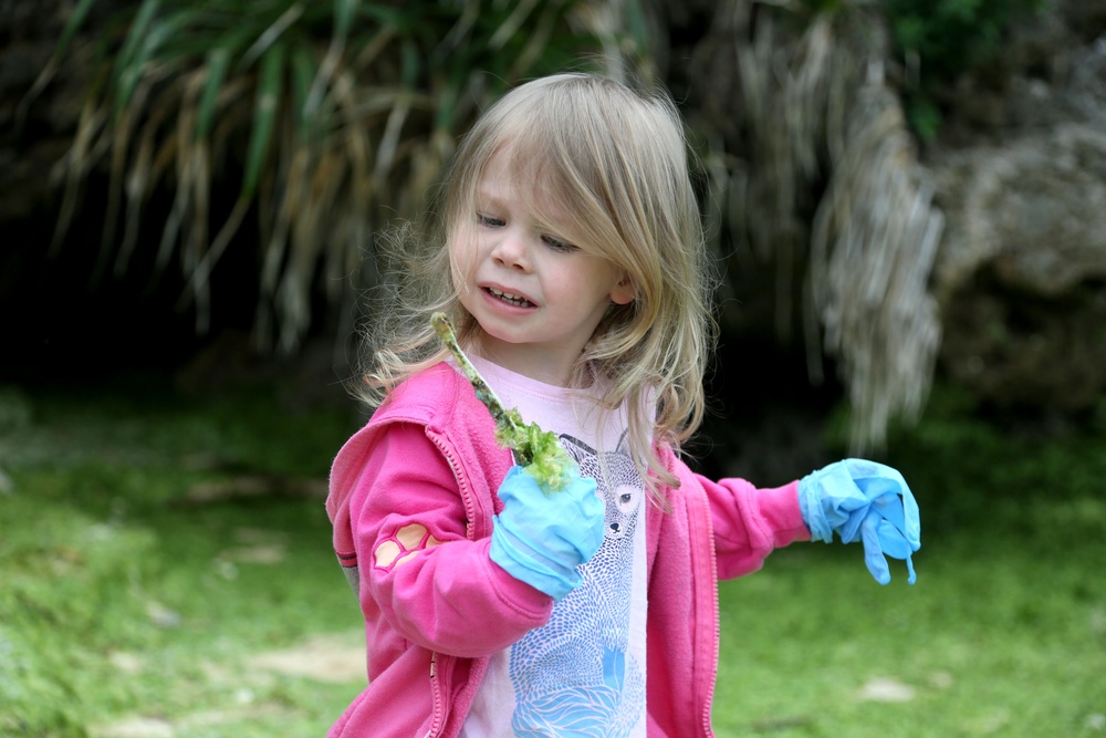 Senaha Beach Cleanup in Okinawa