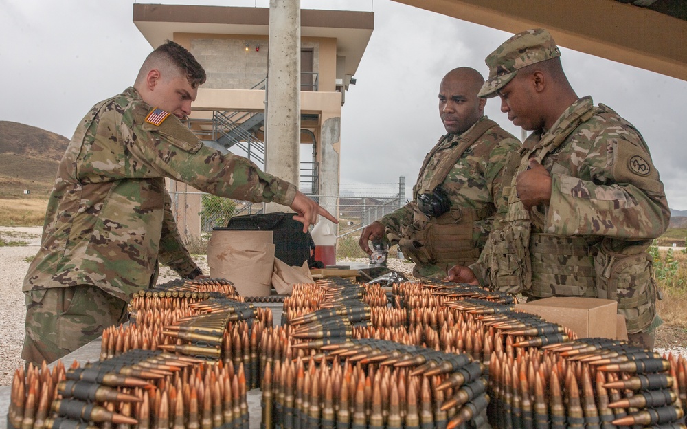Alpha Company, 1st Battalion 69th Infantry Soldiers train in Puerto Rico
