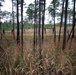 TACP Airmen Compete in Best Ranger Competition 2019