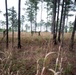 TACP Airmen Compete in Best Ranger Competition 2019