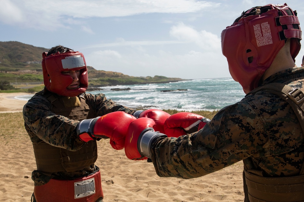 Hawaii Marines become MAIs