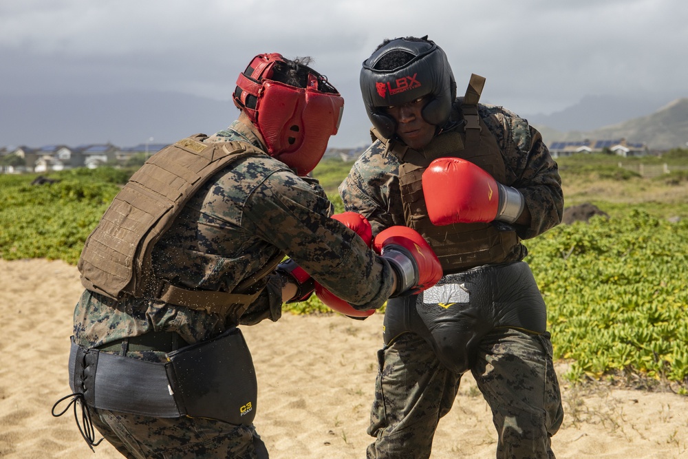 Hawaii Marines become MAIs