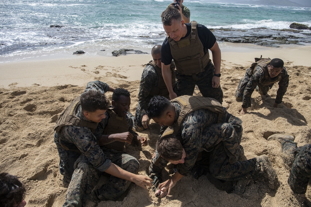 Hawaii Marines become MAIs