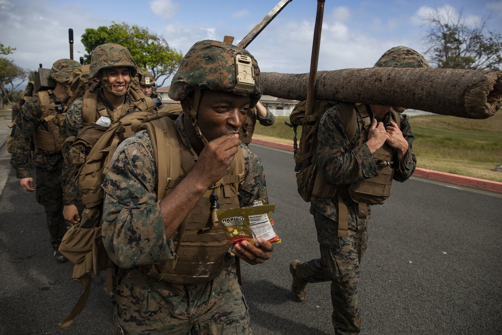 Hawaii Marines become MAIs