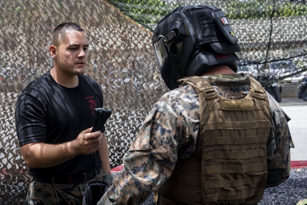 Hawaii Marines become MAIs