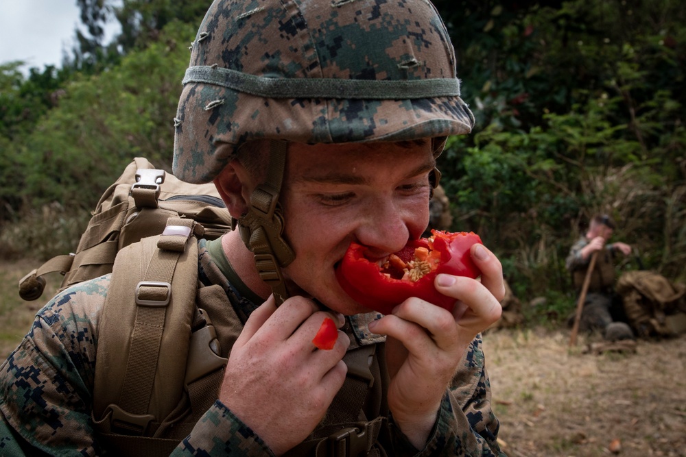 Hawaii Marines become MAIs