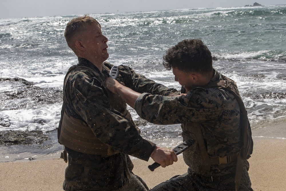 Hawaii Marines become MAIs