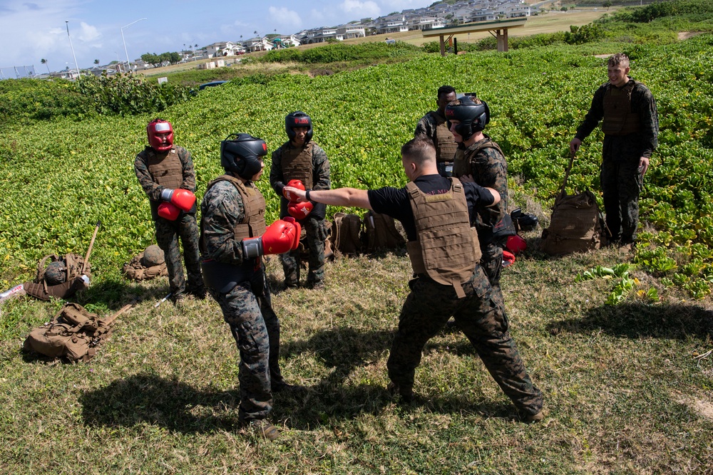 Hawaii Marines become MAIs