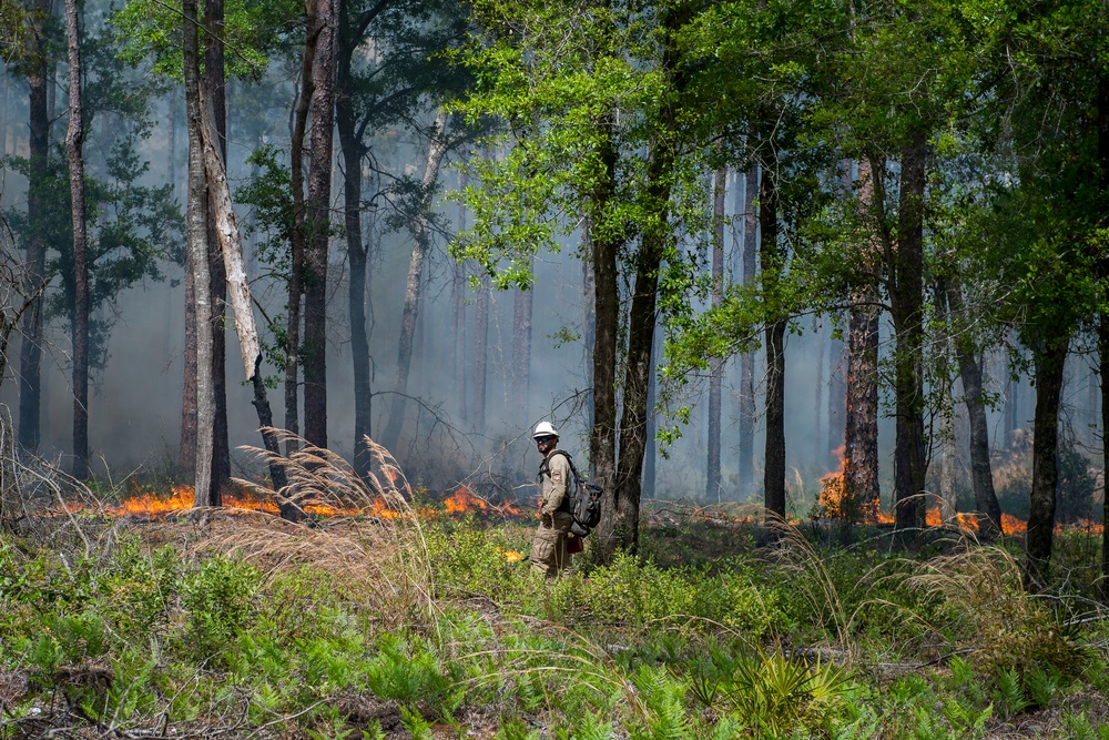 Prescribed burns keep fire at bay