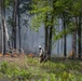 Prescribed burns keep fire at bay