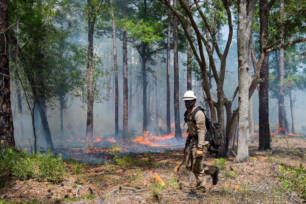 Prescribed burns keep fire at bay