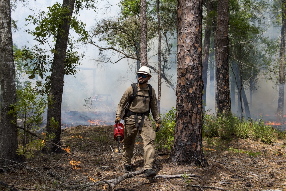 Prescribed burns keep fire at bay