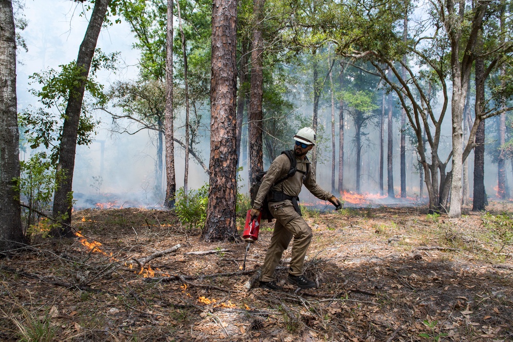 Prescribed burns keep fire at bay