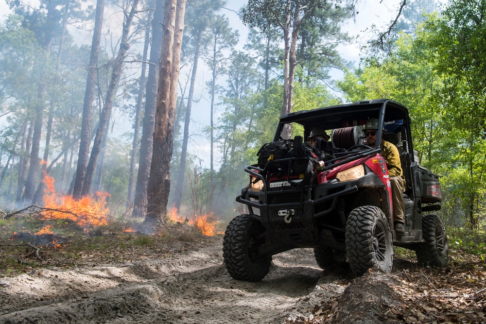 Prescribed burns keep fire at bay