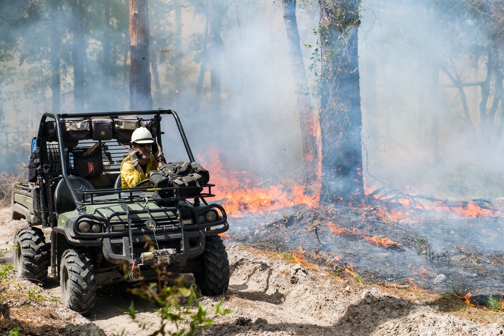 Prescribed burns keep fire at bay