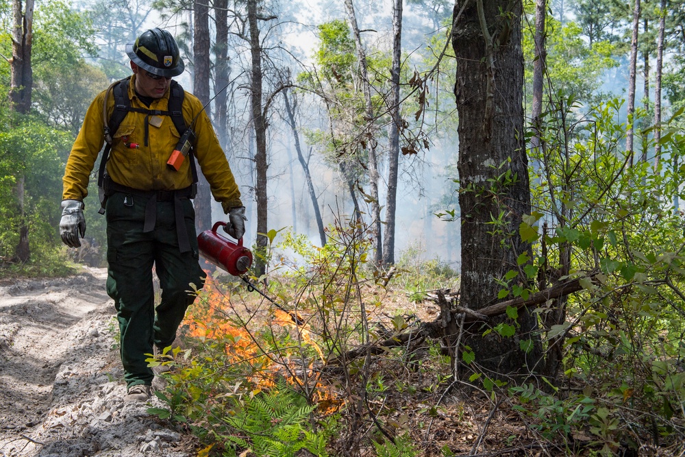 Prescribed burns keep fire at bay