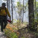 Prescribed burns keep fire at bay