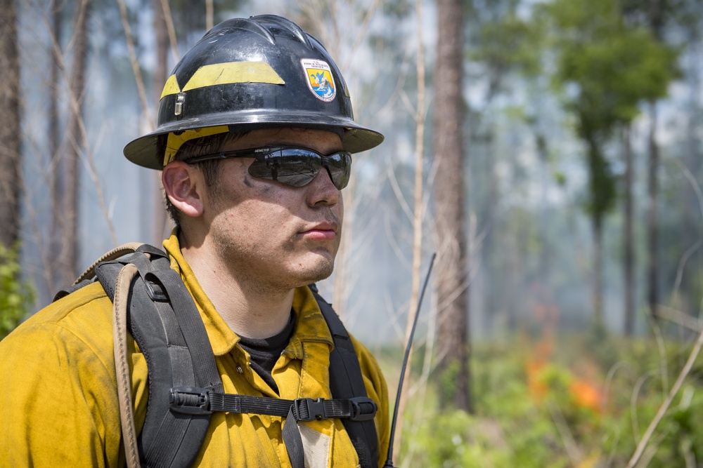 Prescribed burns keep fire at bay