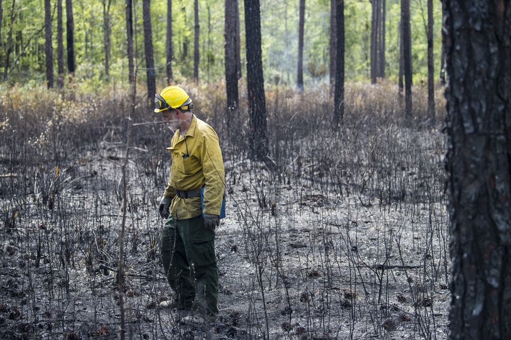 Prescribed burns keep fire at bay