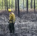 Prescribed burns keep fire at bay