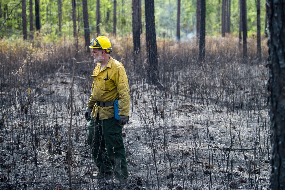 Prescribed burns keep fire at bay