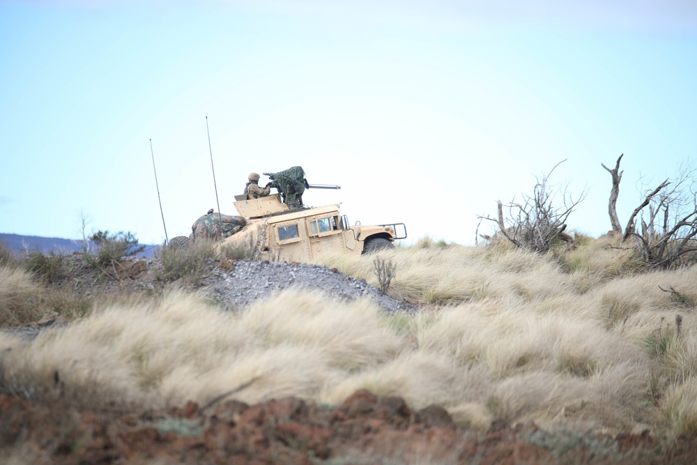 3/4 Cav Troopers conduct live-fire exercise during Operation Lightning Strike 2019