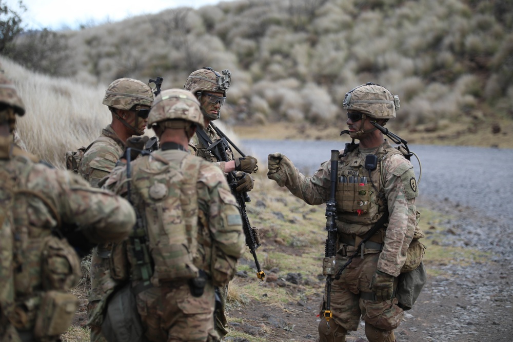 3/4 Cav Troopers conduct live-fire exercise during Operation Lightning Strike 2019