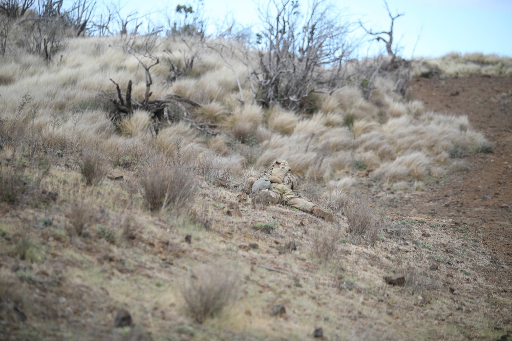 3/4 Cav Troopers conduct live-fire exercise during Operation Lightning Strike 2019