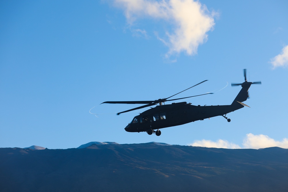UH-60 Black Hawk helicopters provide air-assault capability during Operation Lightning Strike 2019