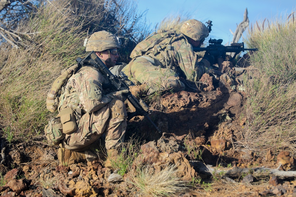 3/4 CAV Troopers conduct live-fire exercise during Operation Lightning Strike 2019