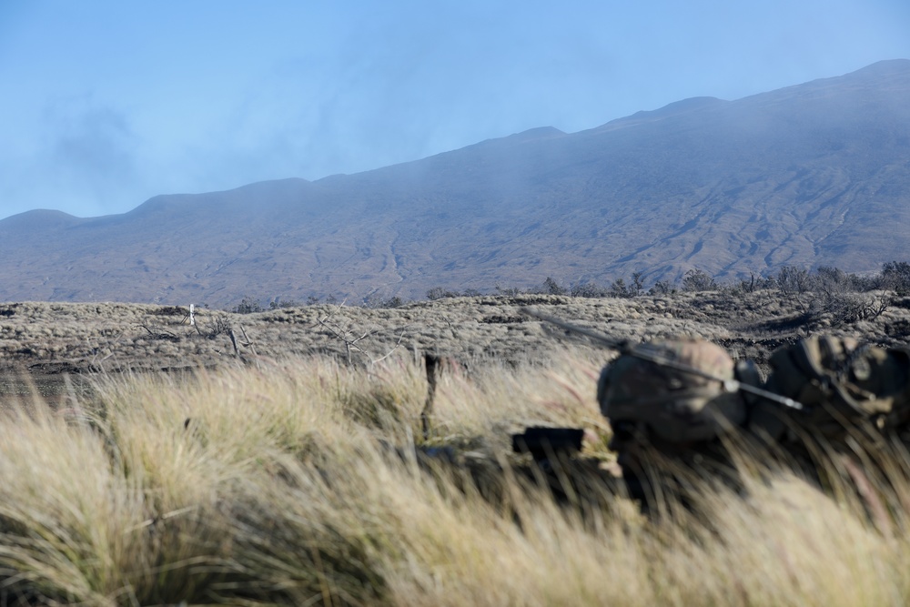 3/4 CAV Troopers conduct live-fire exercise during Operation Lightning Strike 2019