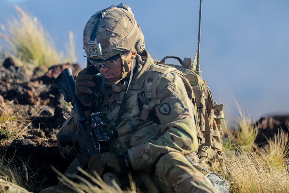 3/4 CAV Troopers conduct live-fire exercise during Operation Lightning Strike 2019