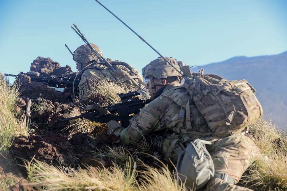 3/4 CAV Troopers conduct live-fire exercise during Operation Lightning Strike 2019