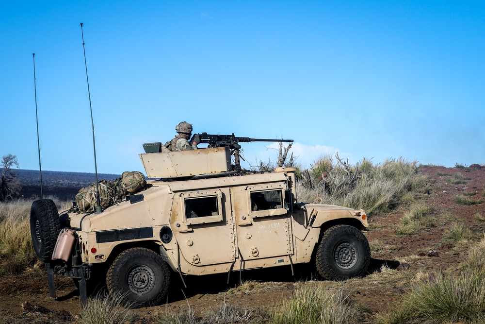 3/4 CAV Troopers conduct live-fire exercise during Operation Lightning Strike 2019